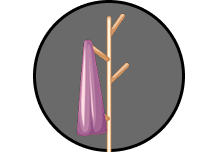 challenge image